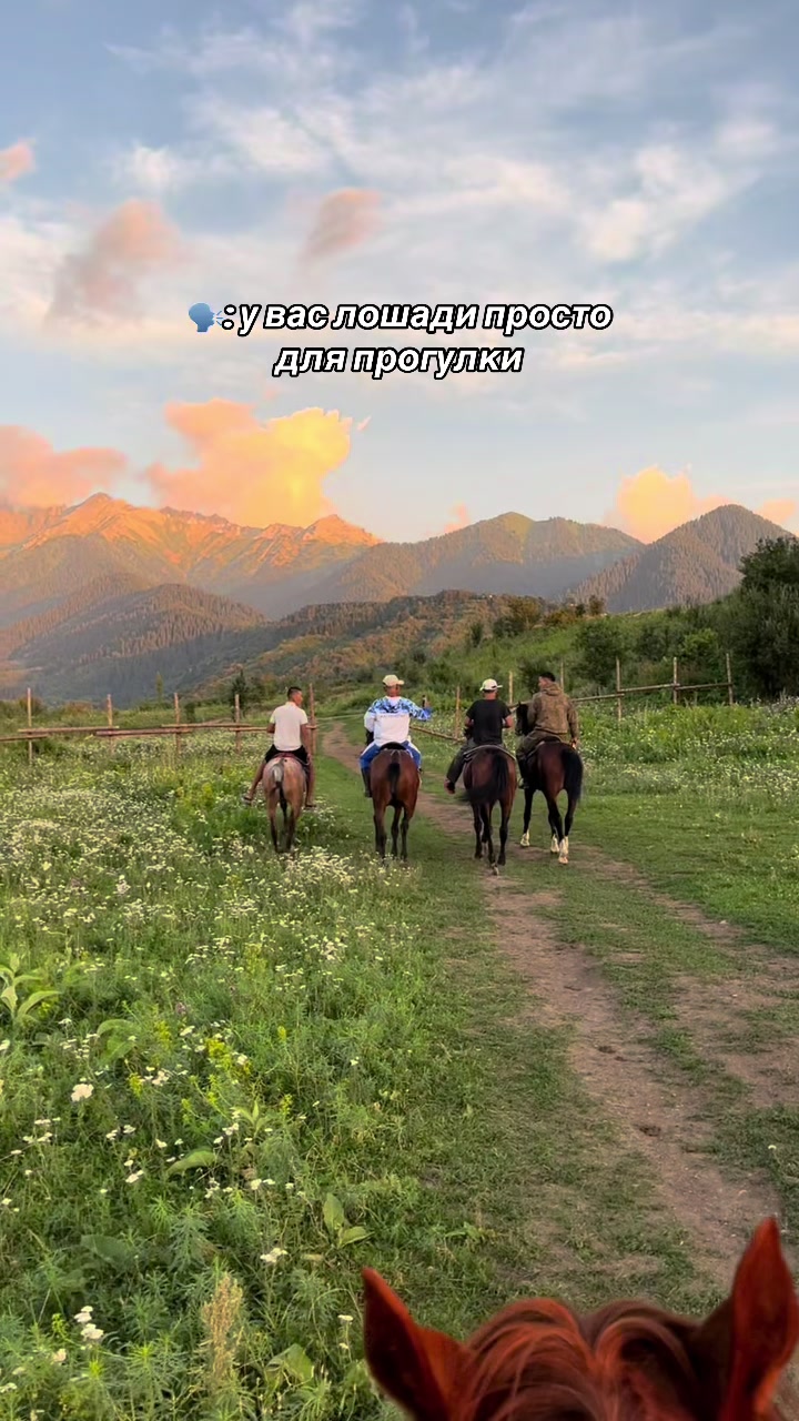 @akshatau_horses