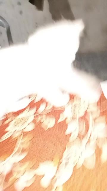 @🇲 🇺 🇿 🇦 🇲 🇮 🇱