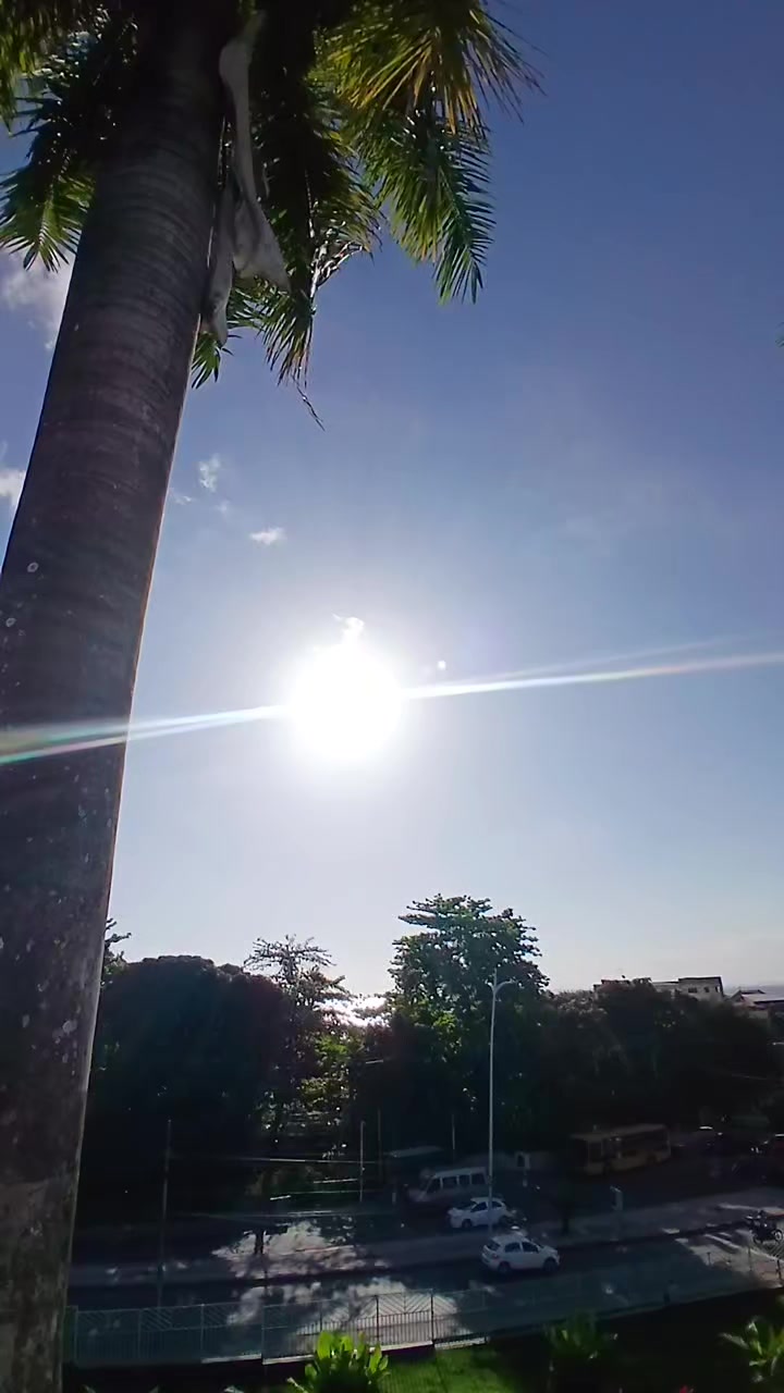 @denisemadureira52
