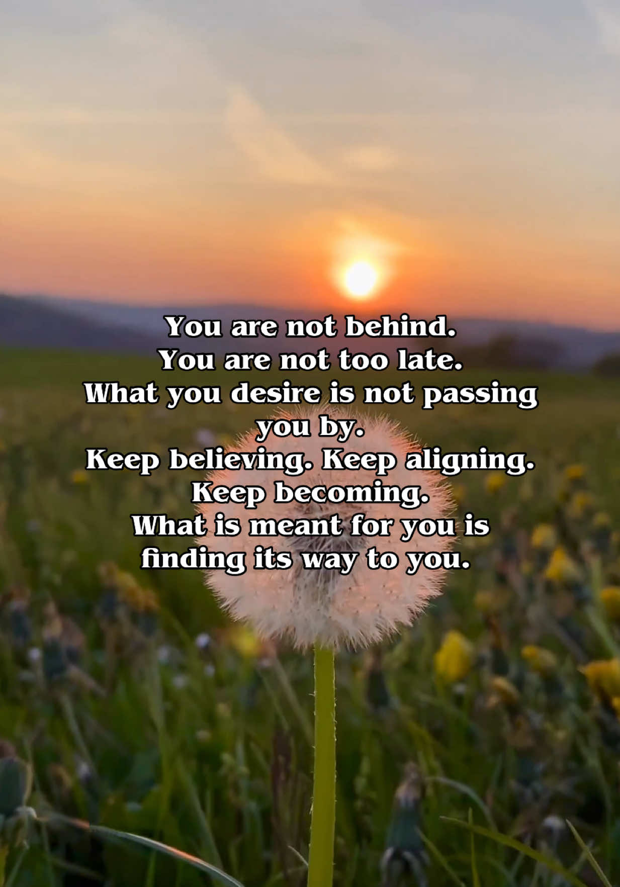 @Manifestation Essentials