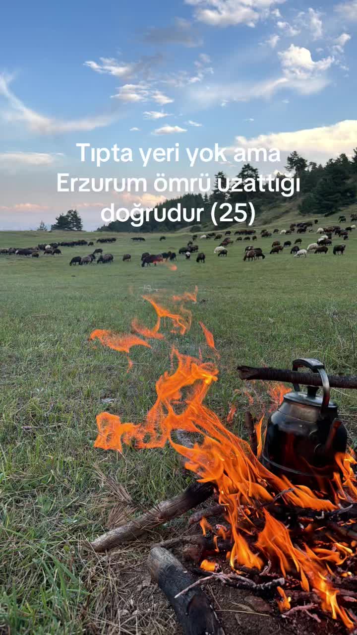 @Tayfun’25