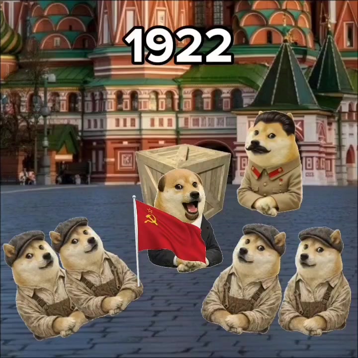 @gnomo cachorro