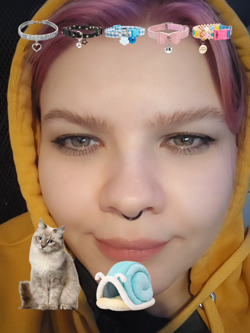 @shy_pips