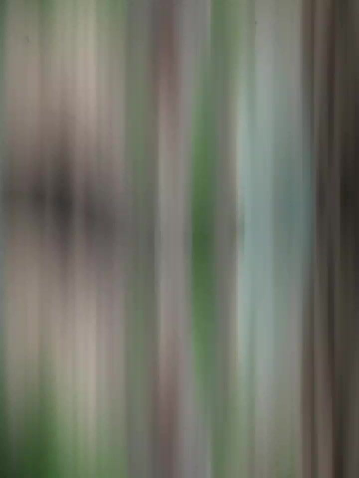 @đŧ_āĻāĻžāϤāĻŋāϰ_āĻĒāĻŋāĻā§āĻāĻŋ__āϰāĻžāύāĻž_ đ¤