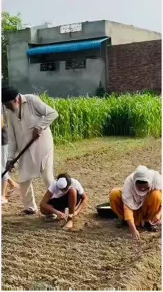 @Punjab Singh ਮਾਝੇ ਵਾਲੇ
