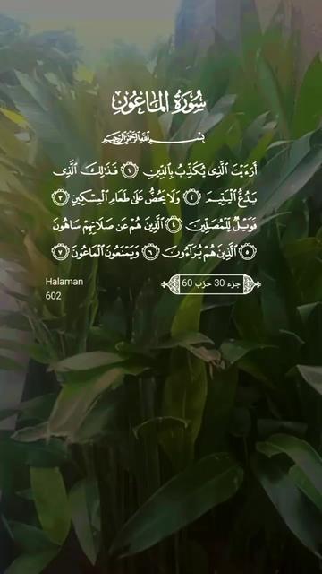 @@Md Siam 9040 TikTok Studios