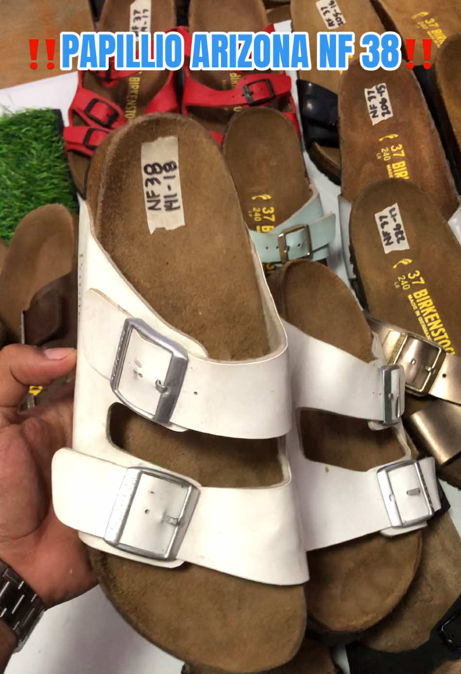 @DAILY BIRKS