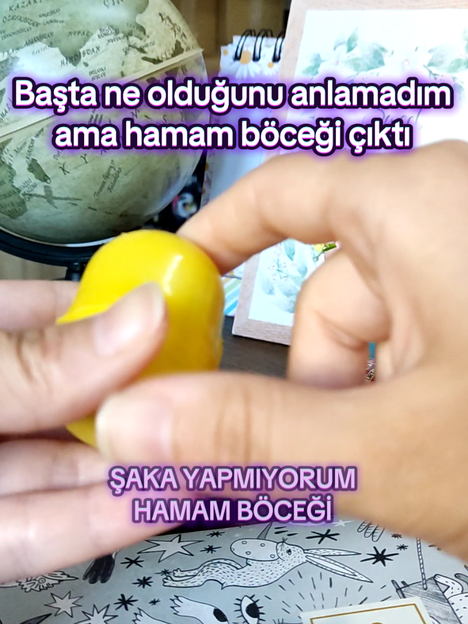 @S&uuml;rpriz kutusu 💕