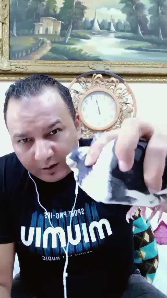 @ابراهيم جياره قلب الاسد 🇪🇬🦁
