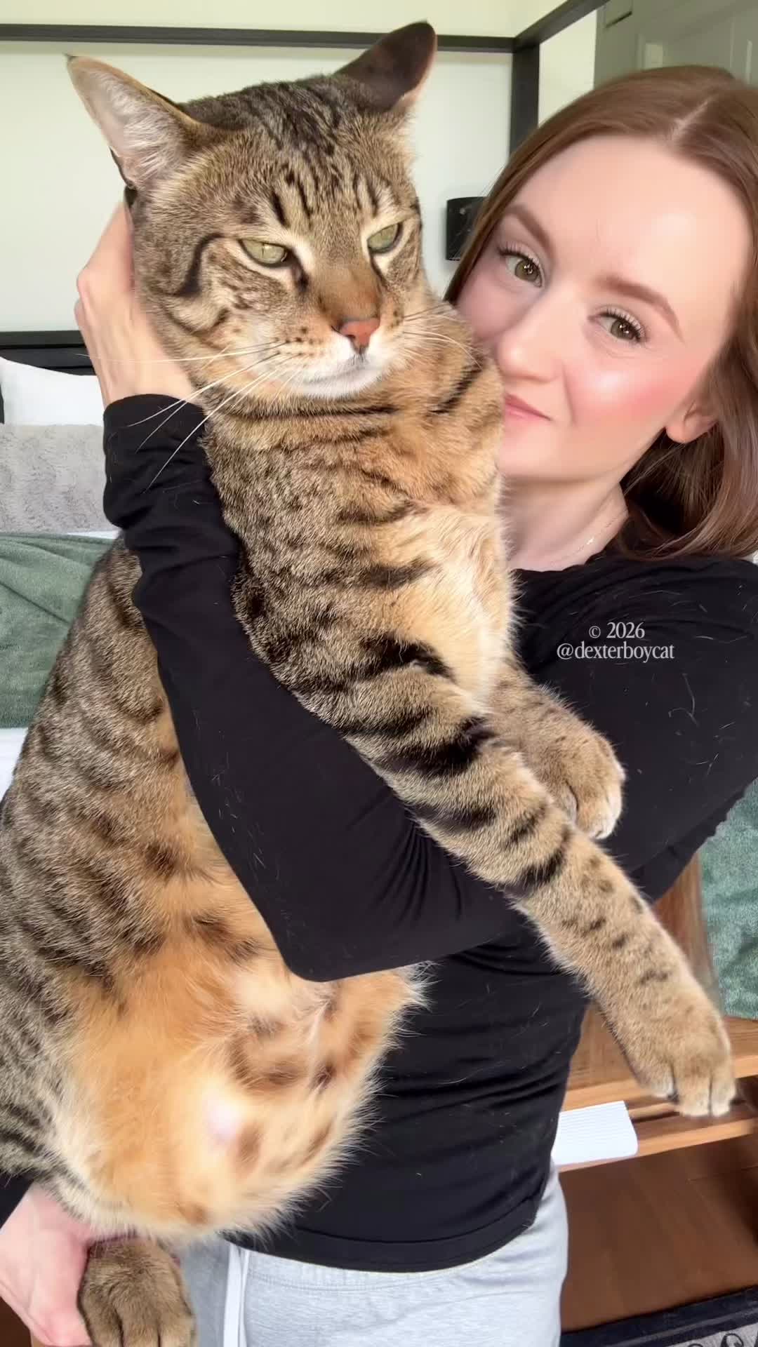 @dexterboycat 🐆♥️