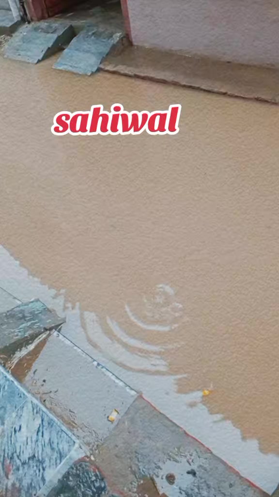 @chaudhari sahiwal wala