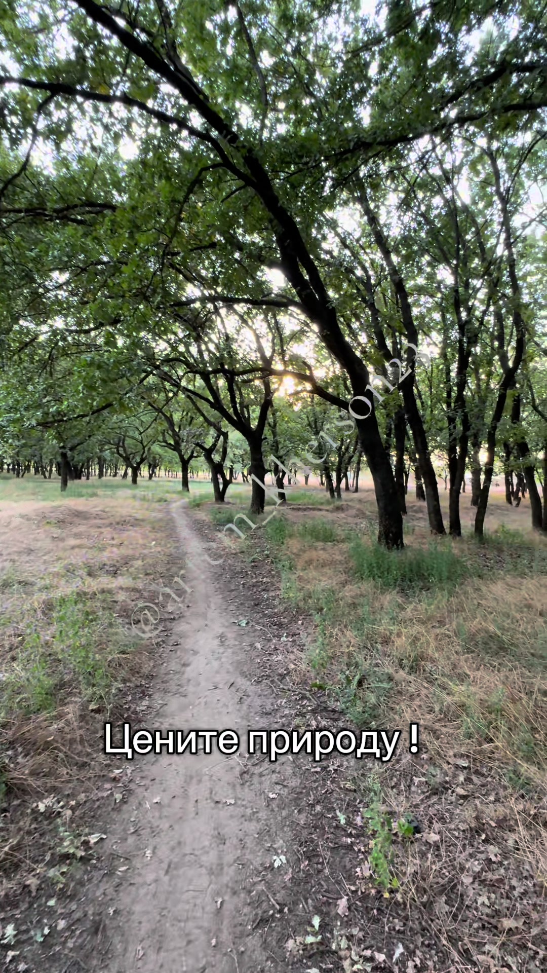 @Артем Великий Херсон🍉