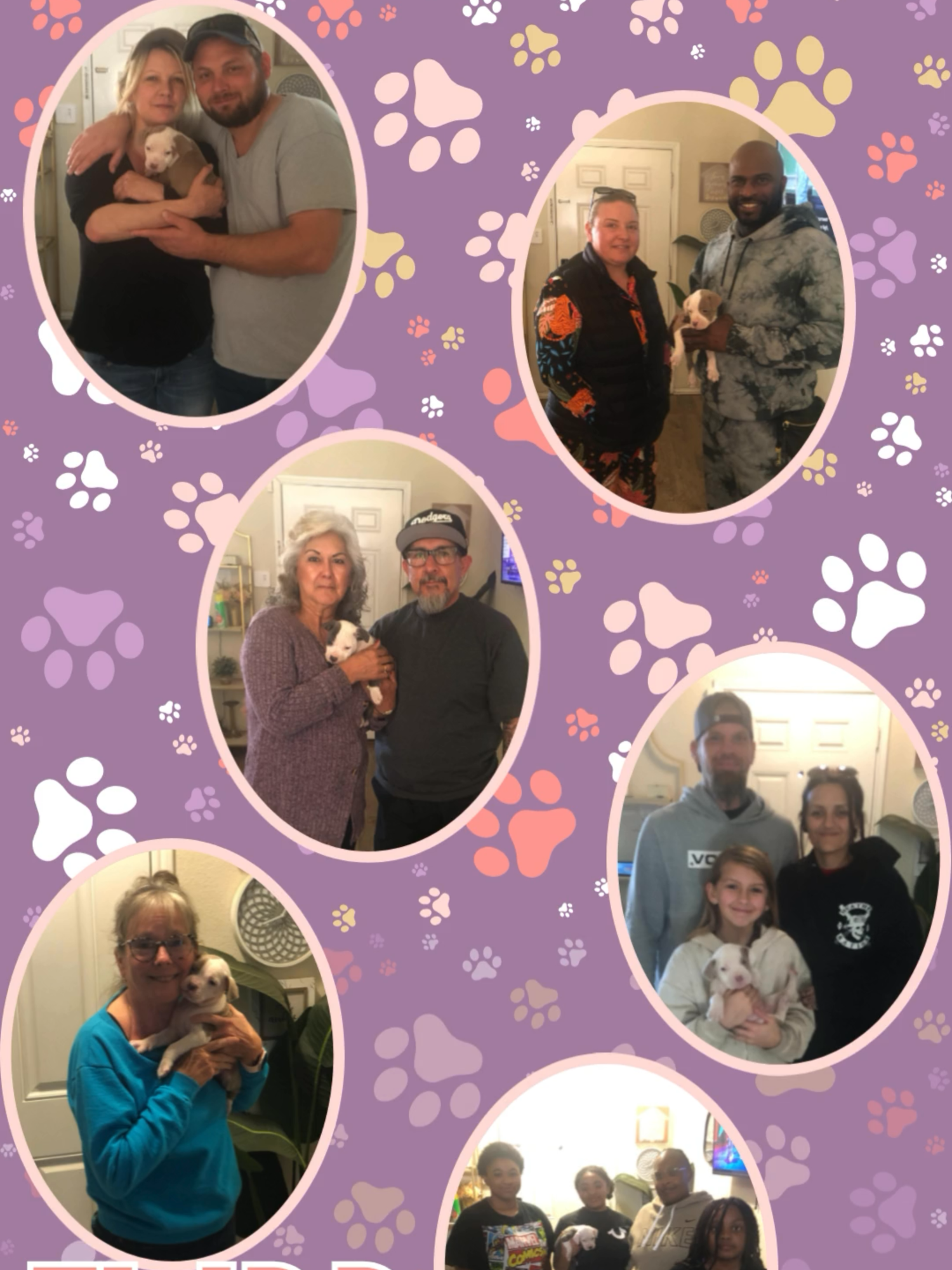 @Fort Worth Pit Puppies