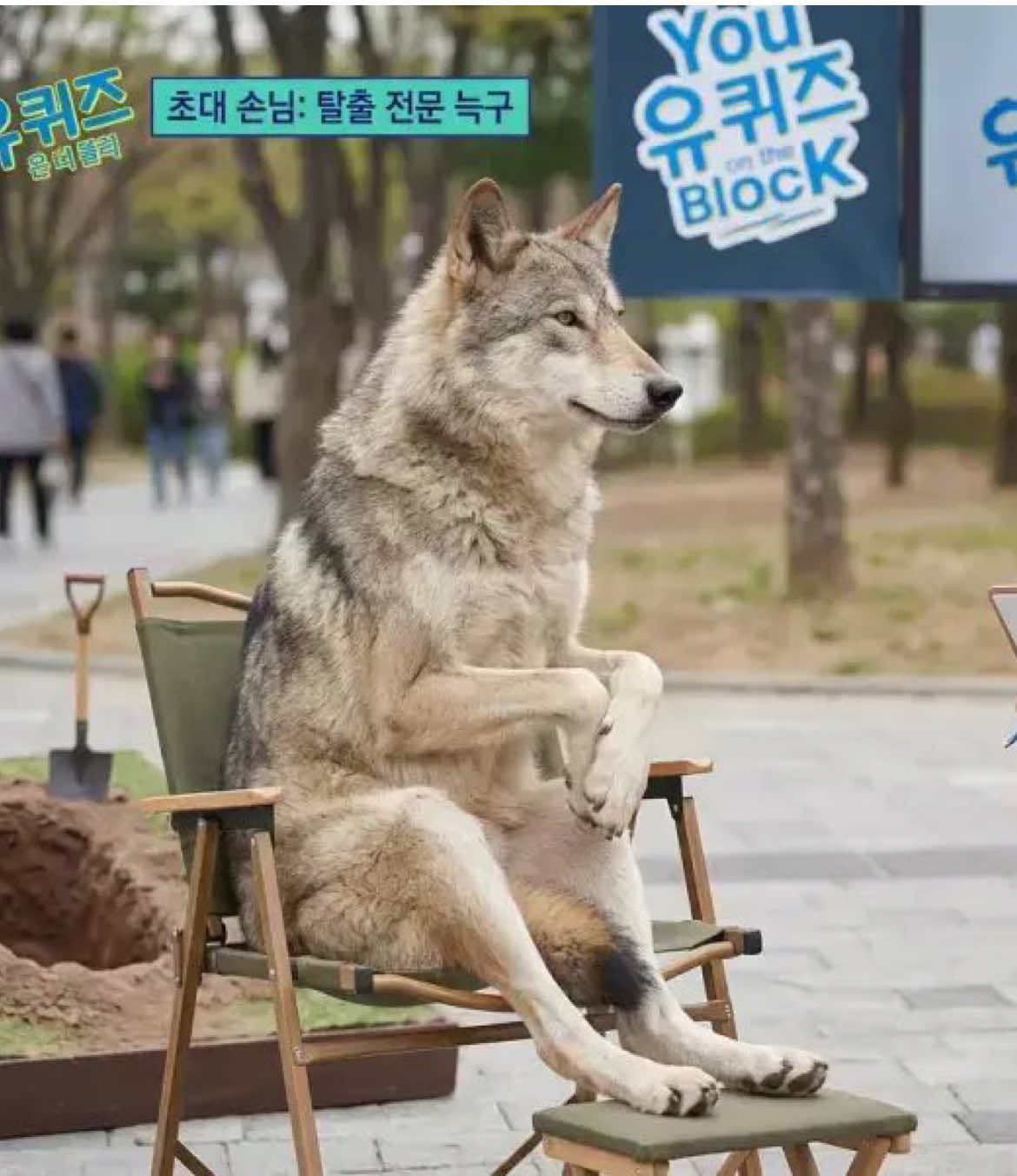 @레전드기모띠샬라메yt