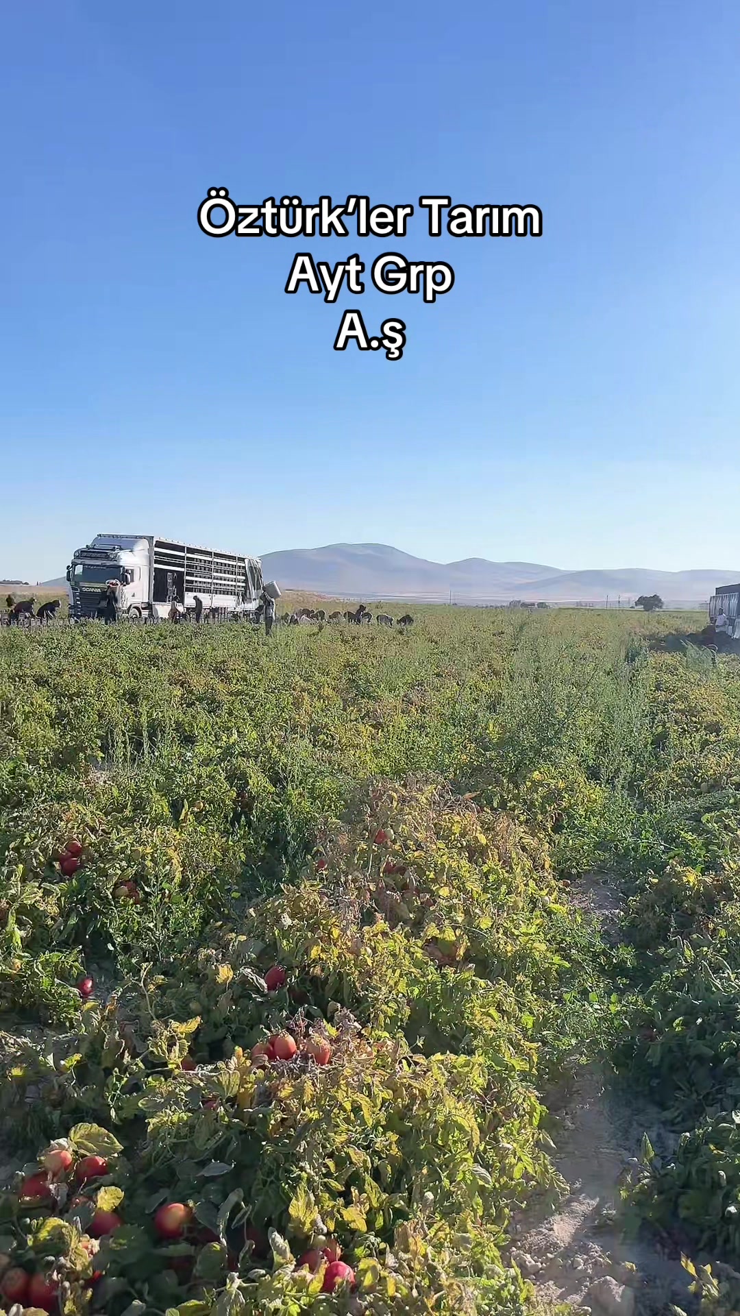 @Rıdvan Öztürk