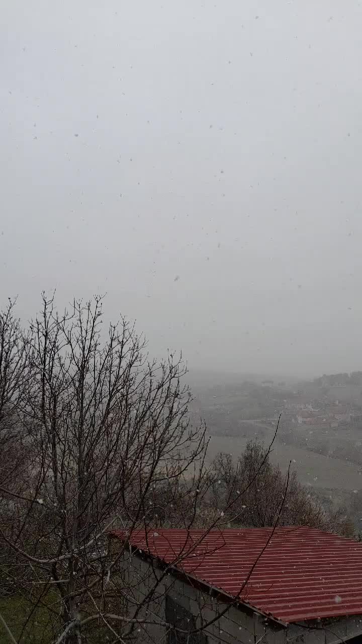 @kadişş