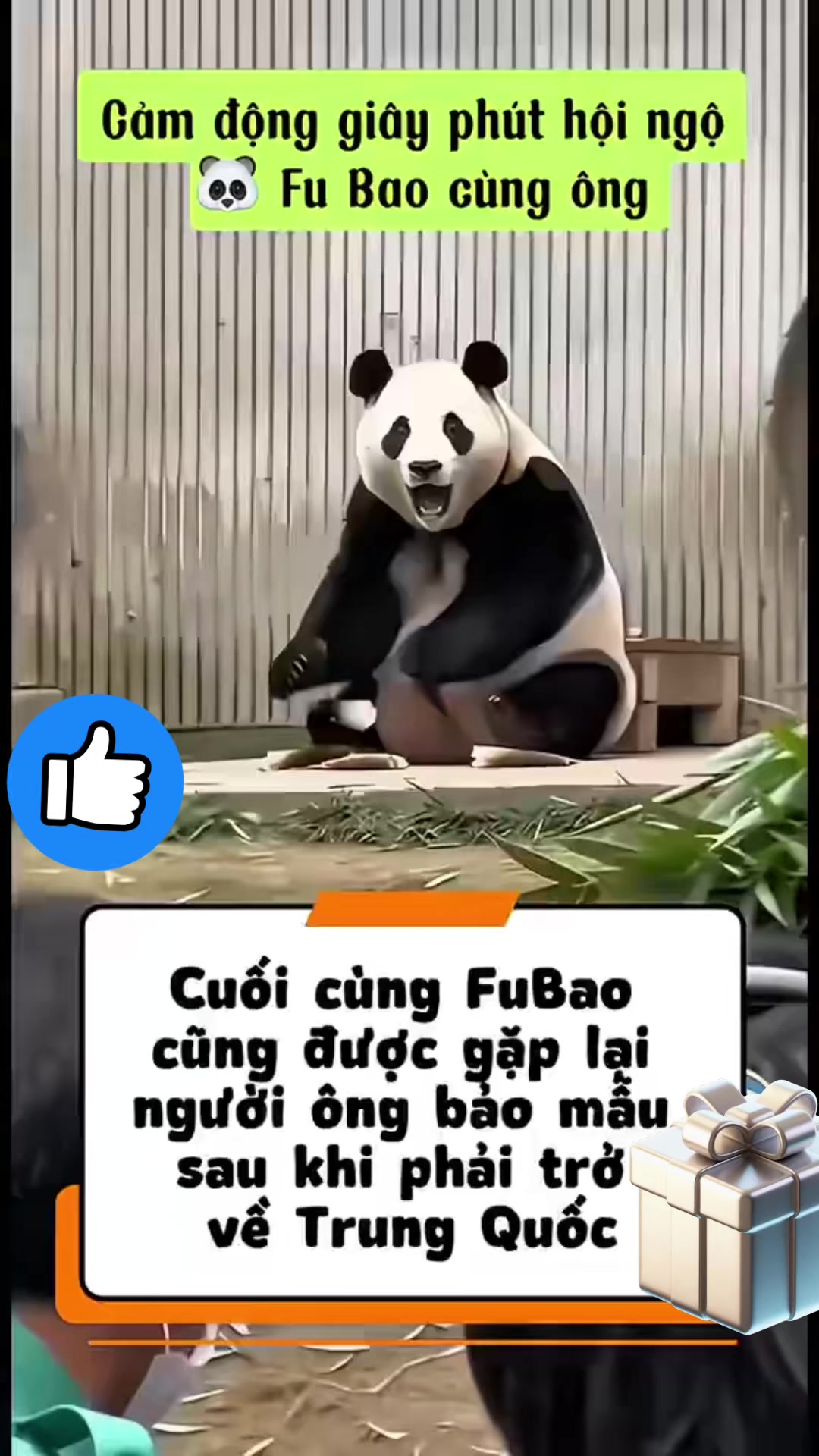 @Tiger