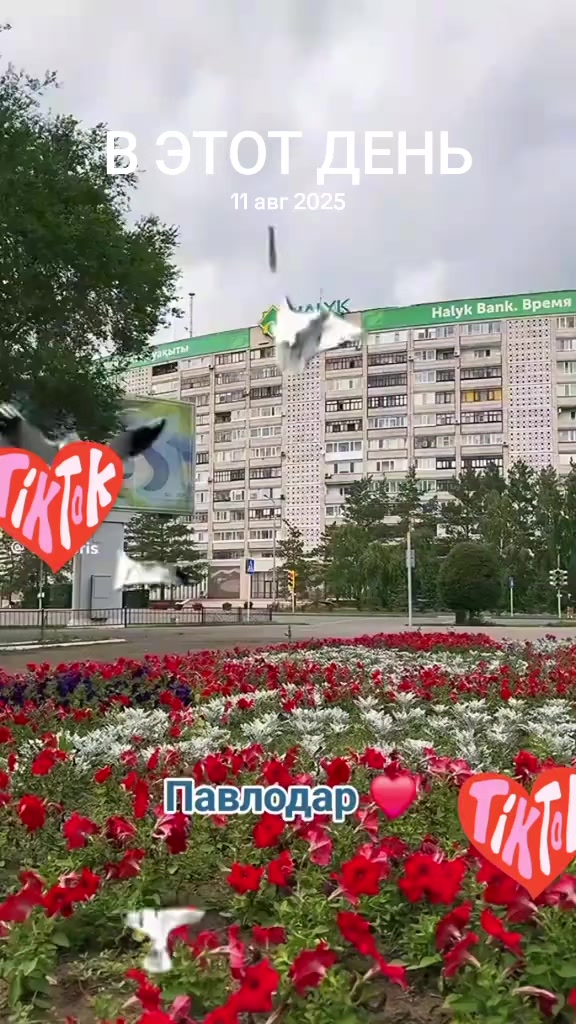 @Виолетта