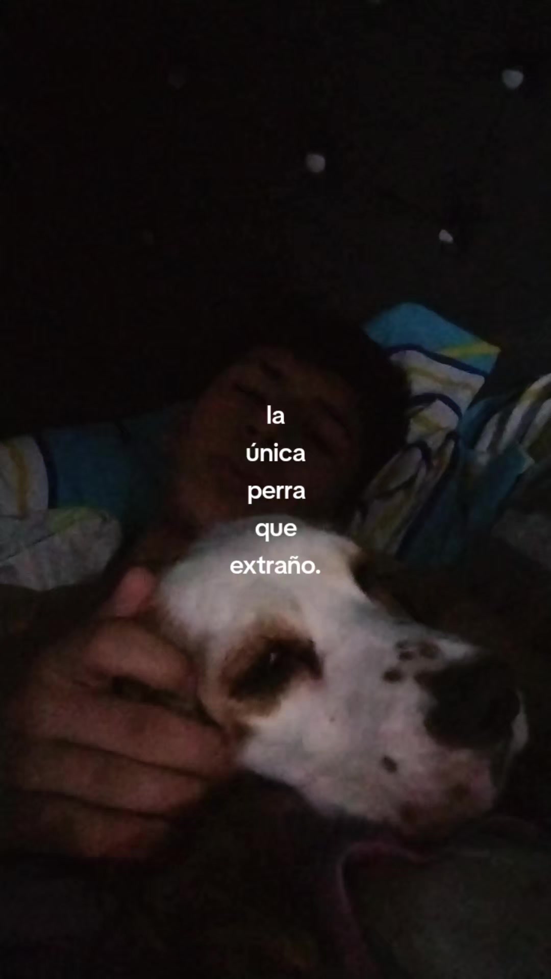 @𓆰Ospi𓆪
