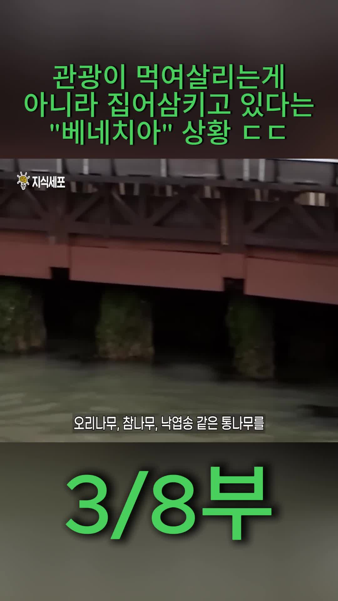 @지식세포