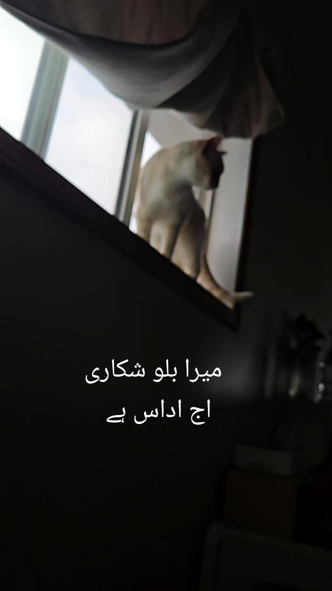 @Zahid.khan🍁🇨🇦
