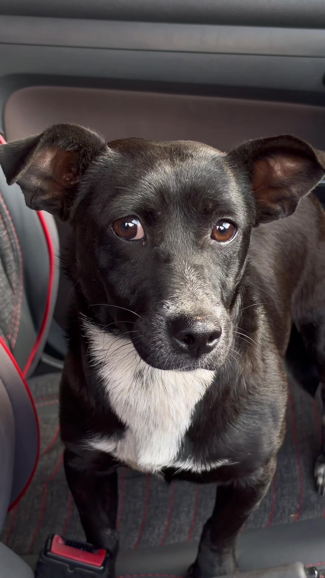 @Talat AKIL