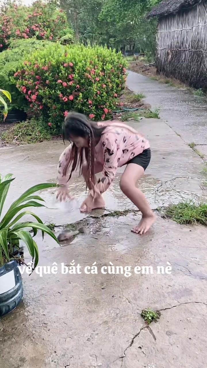 @giatue_aidol2025