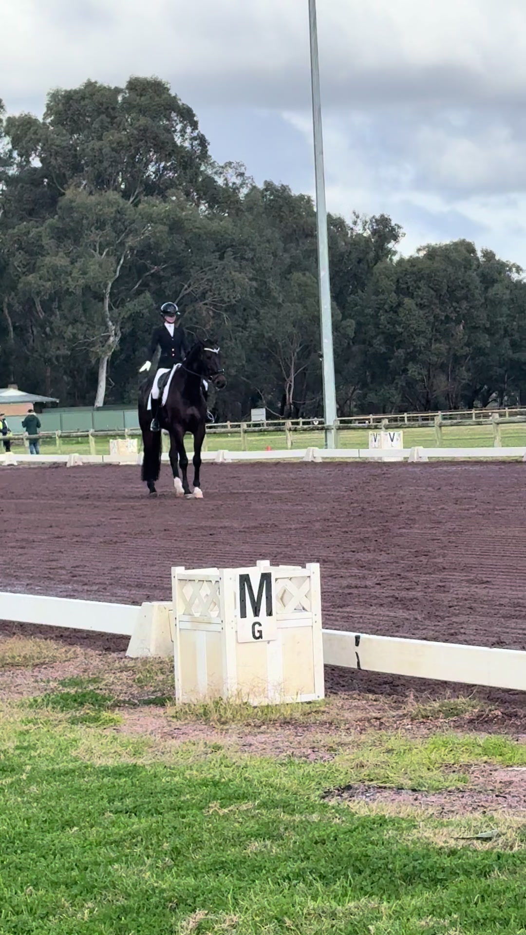 @Suzin- Para equestrian