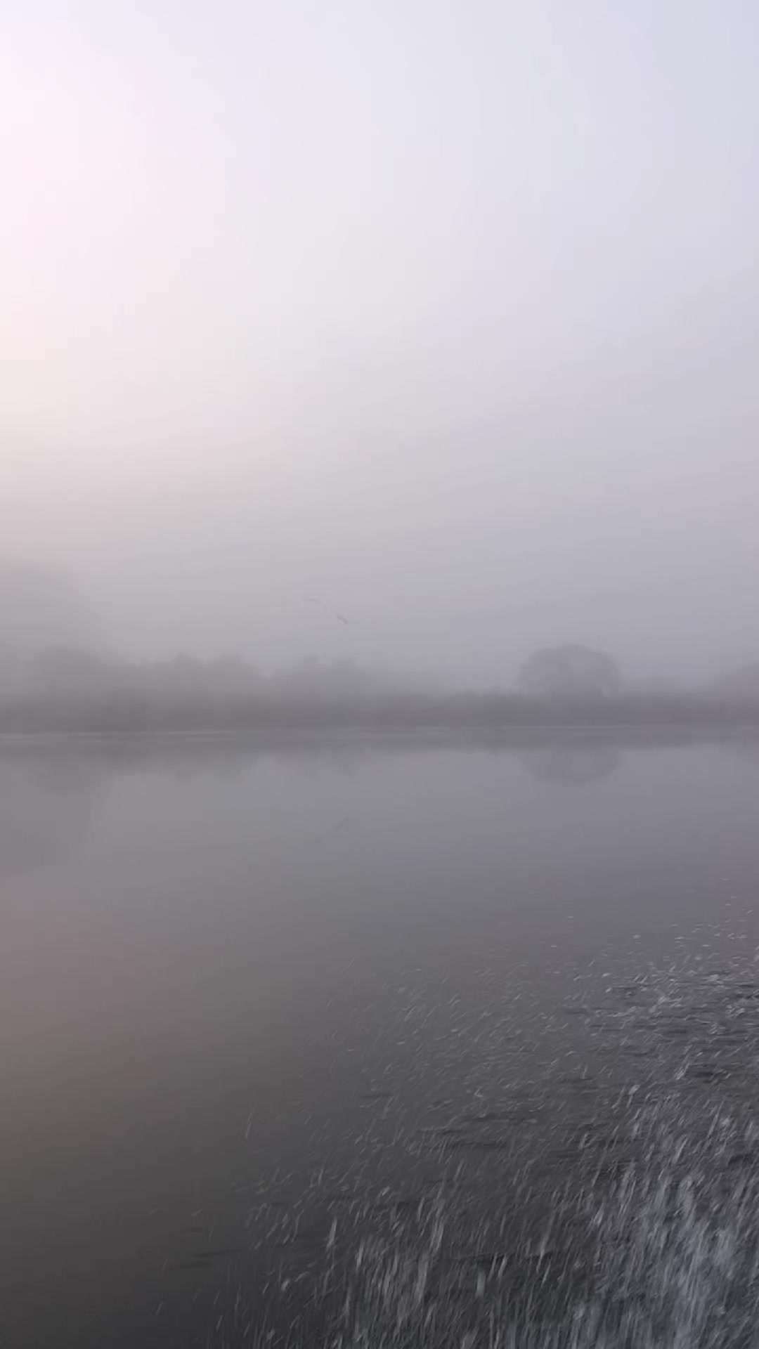 @Элодея