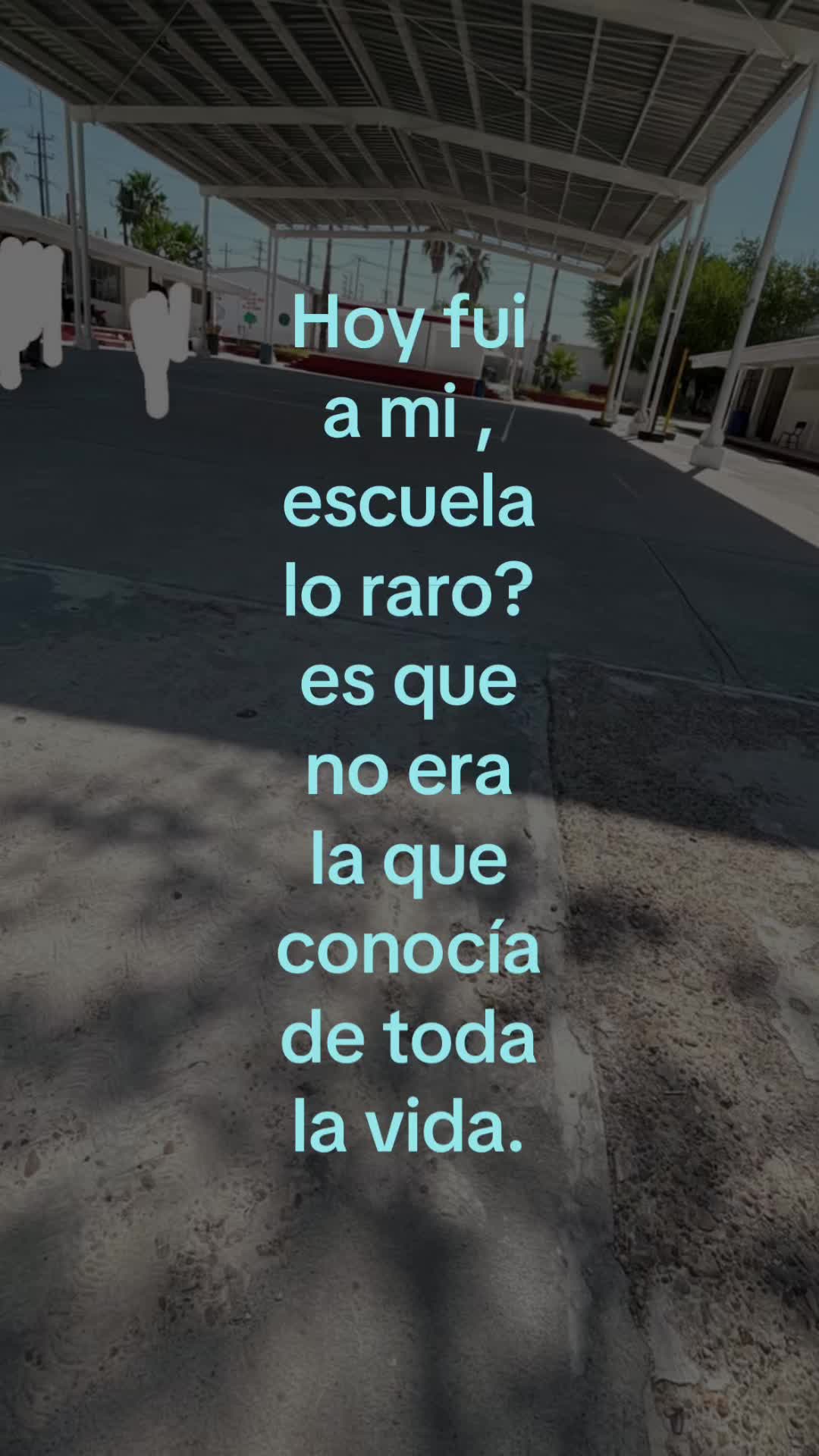 @🪩🤍ᖴᑌIᗰOՏ 6toB 26#🤍🪩
