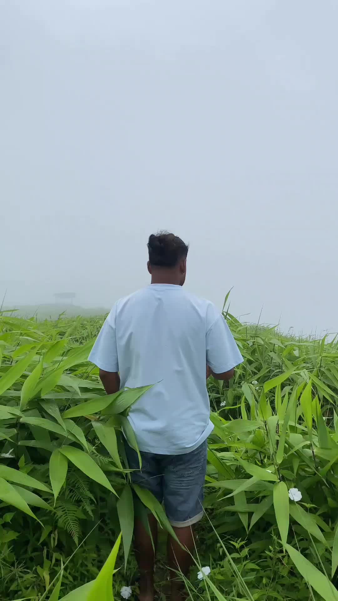 @Pawan Acharya Chettri