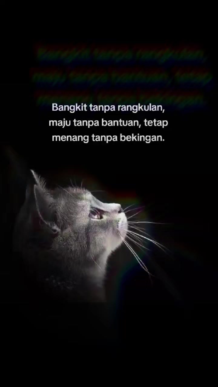 @adull