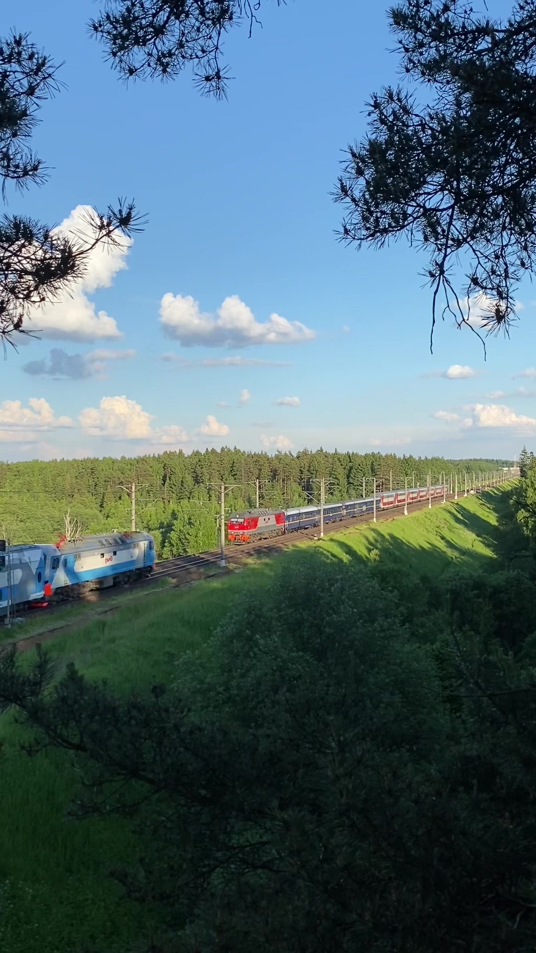 @rzd_fan_18