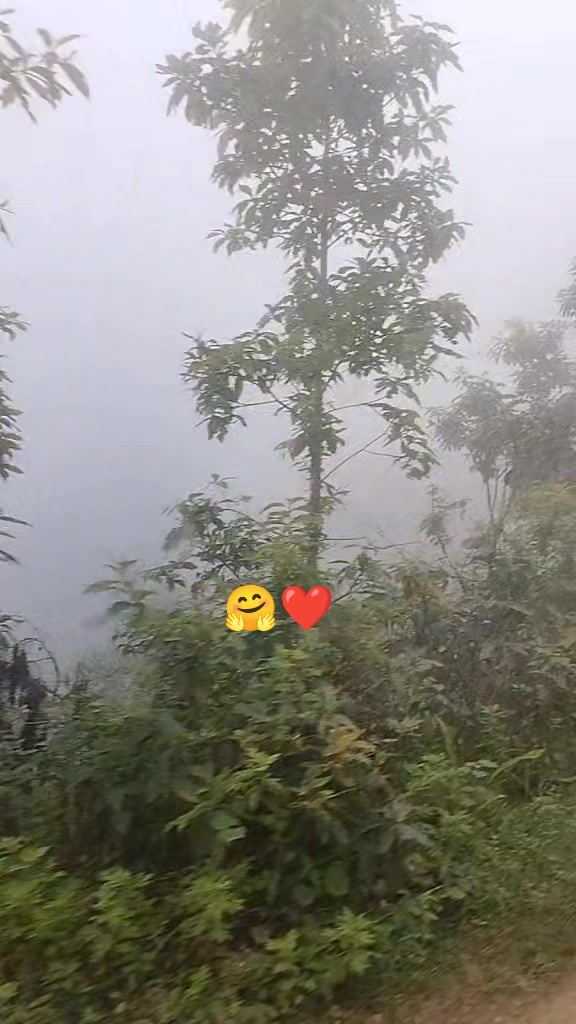 @Anjana♥️