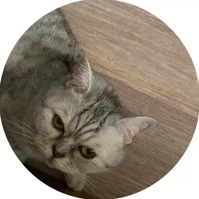 @цыганский табор на приоре