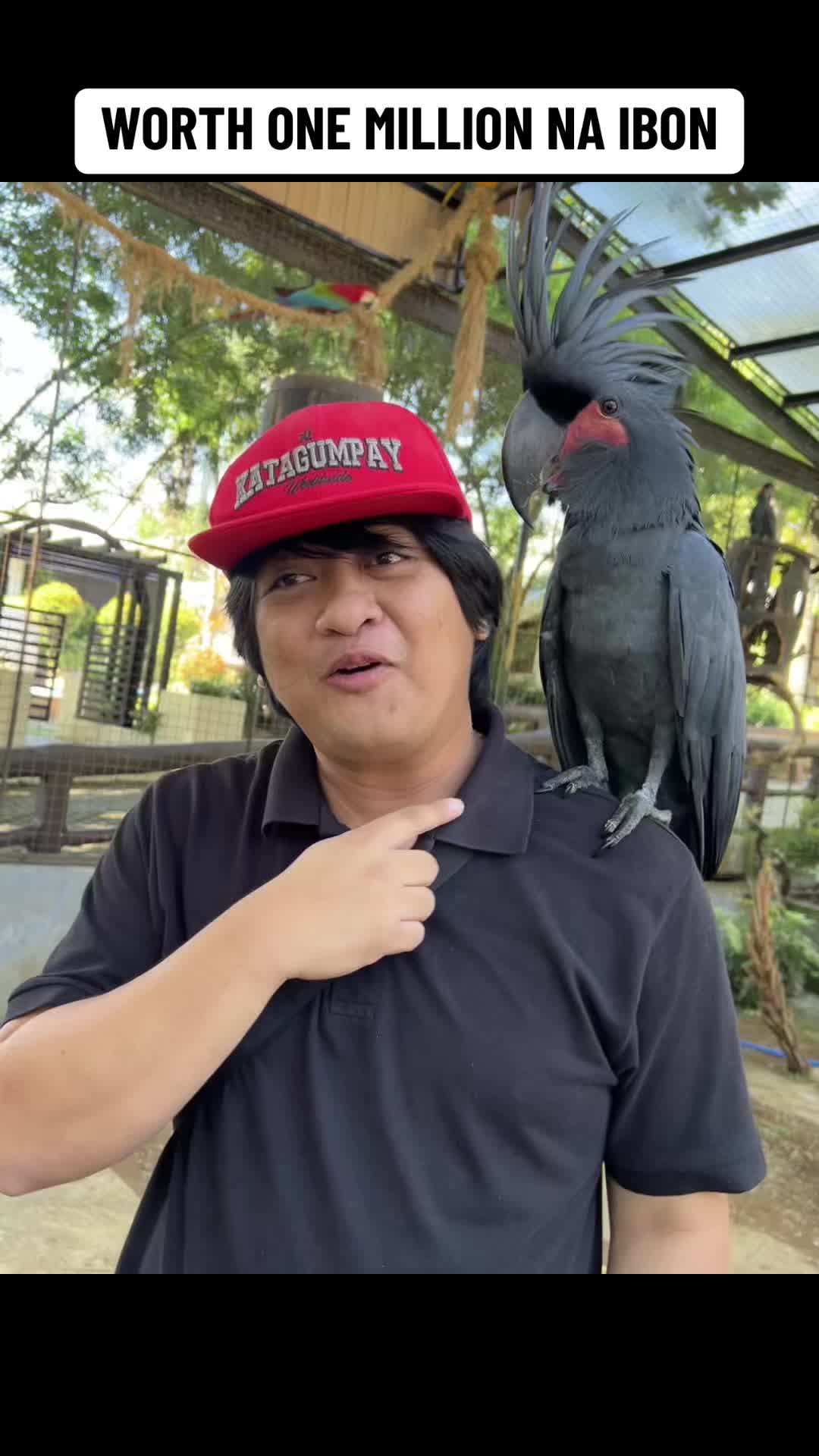 @Kuya Neil