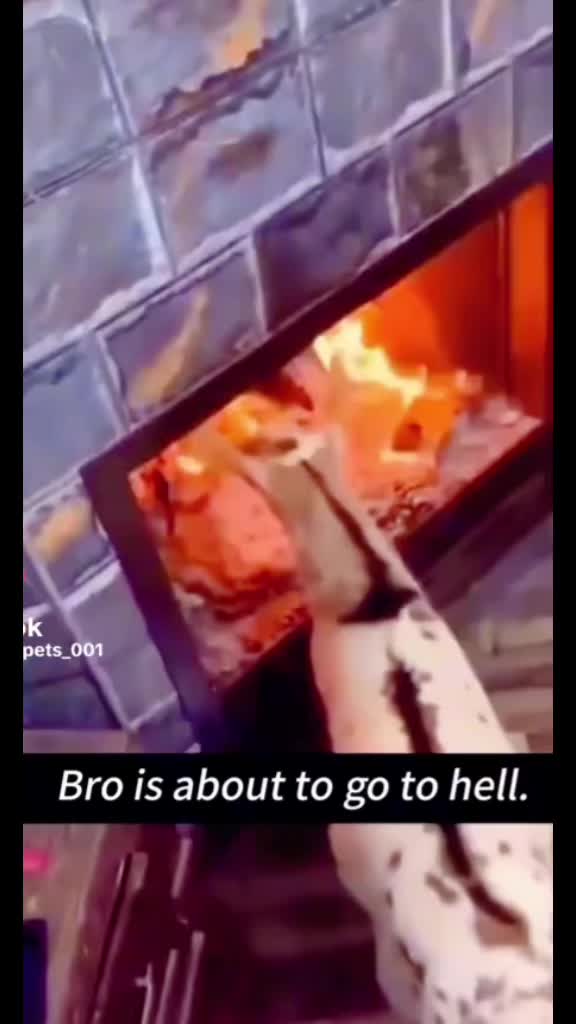 @riobigg