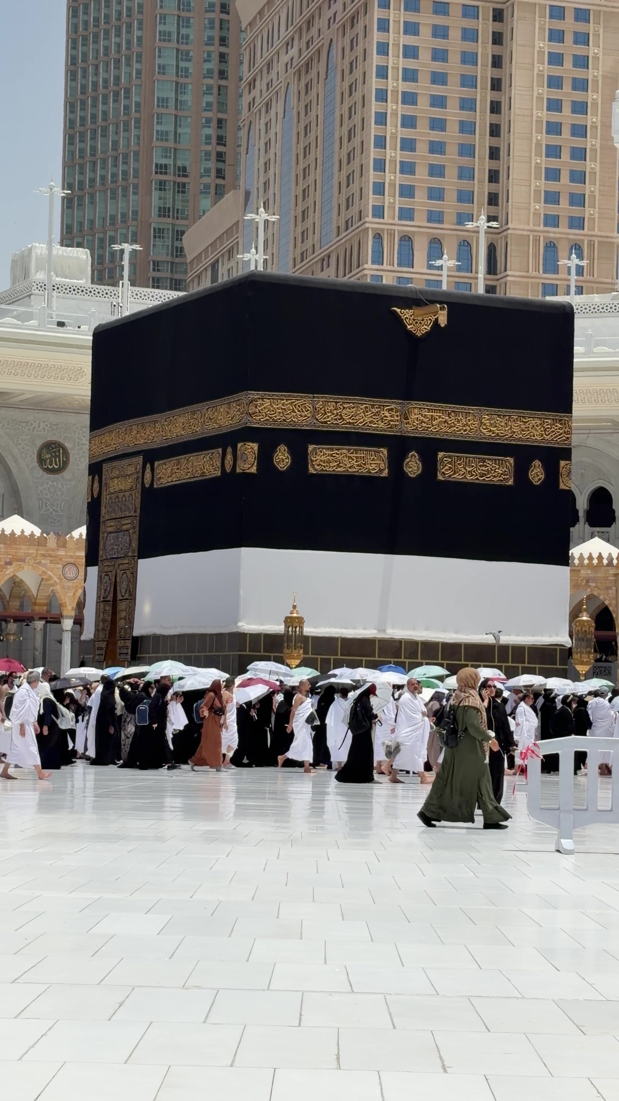 @طيوف الحرم