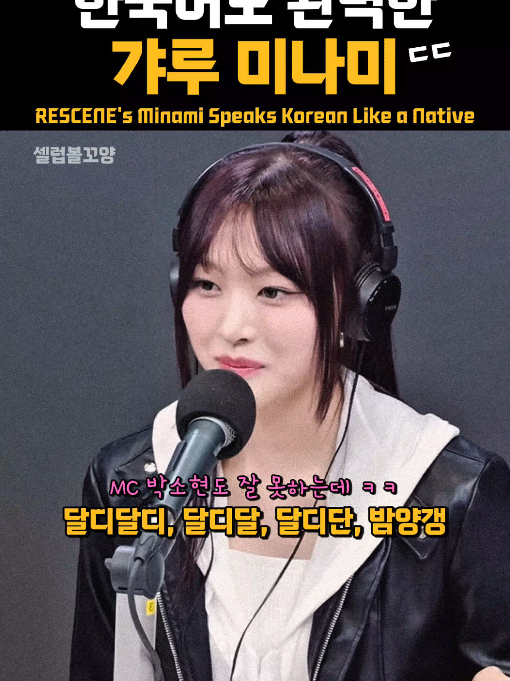 @셀럽볼꼬양