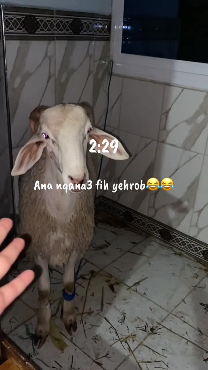 @Louiza f&eacute;d