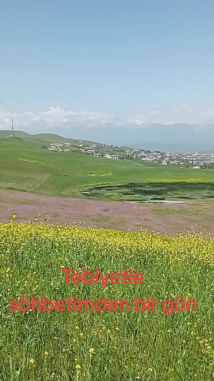 @S 056