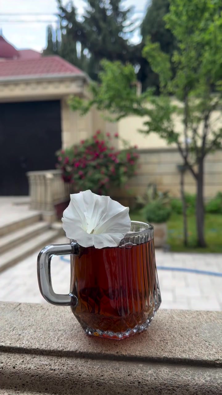 @꧁Qatilinə Aşiq꧂