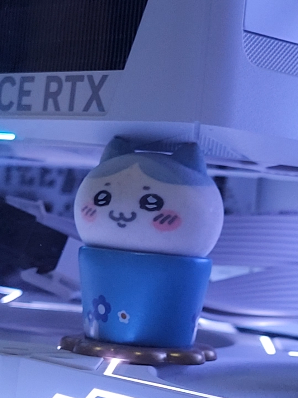 @ᝰ mochip.ೃ࿔.。˚