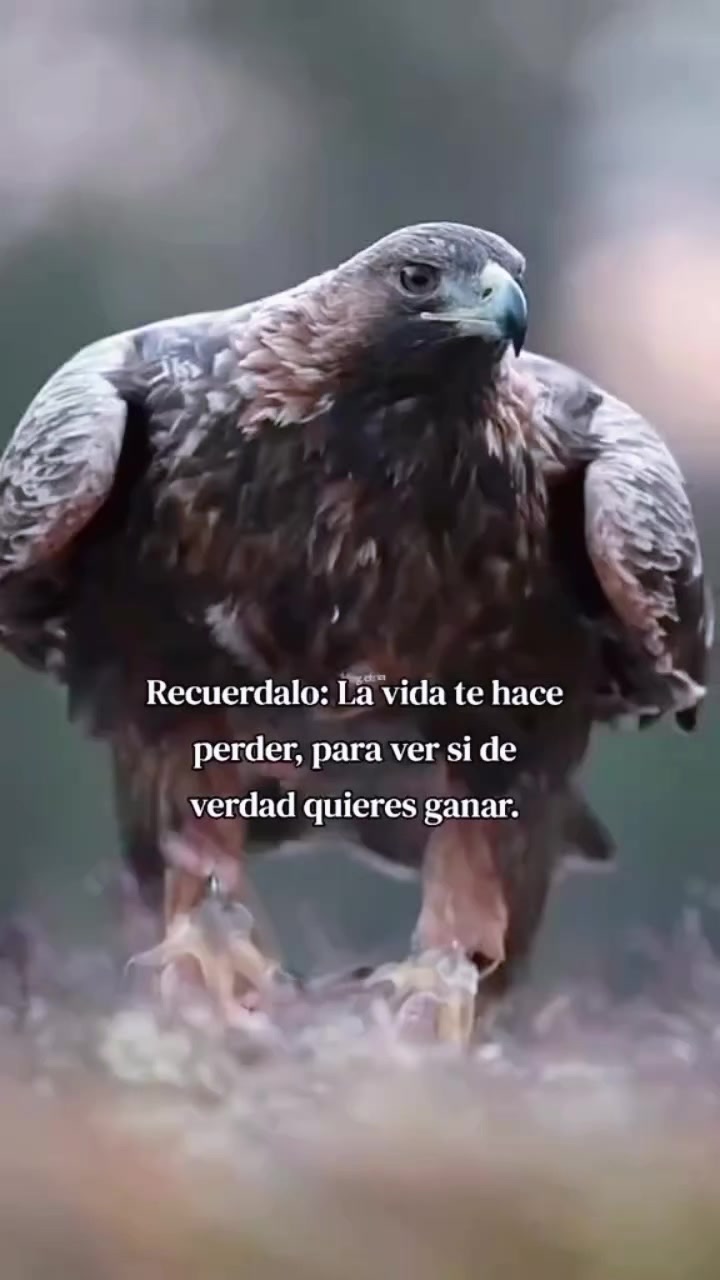 @Orlando José Rodríguez
