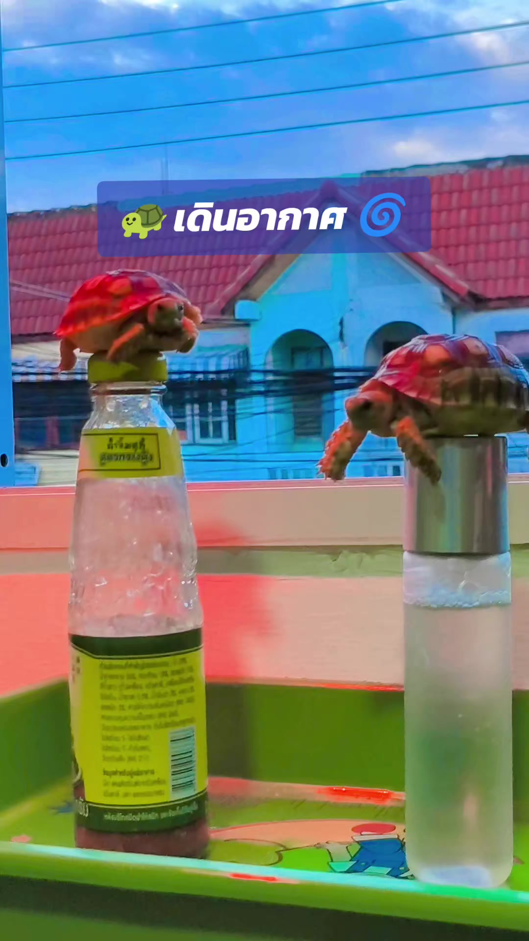 @เจมส์คนดี มีคนเดียว