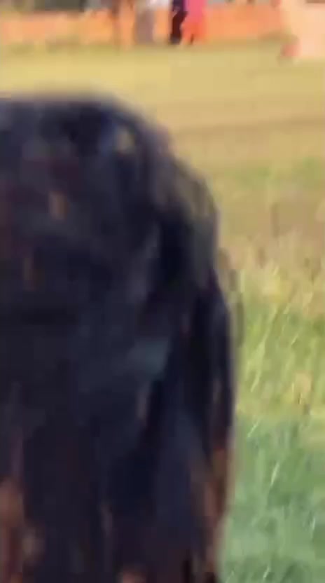 @JÜŤŤ ĞAMÎNĞ