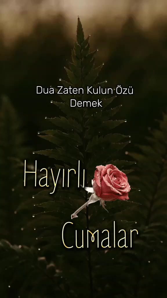 @Fiko Bozkurt