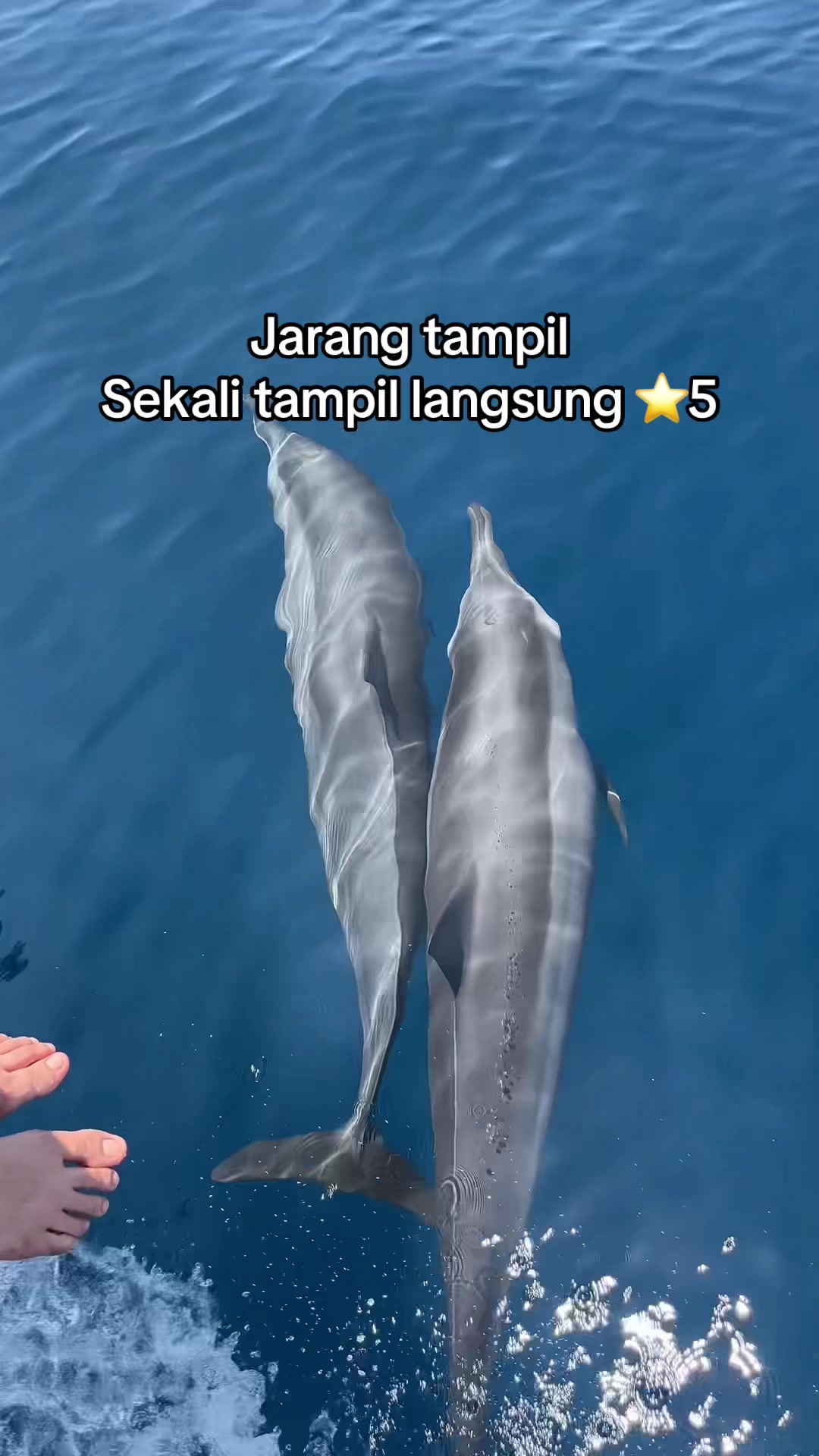 @sabangtrip_