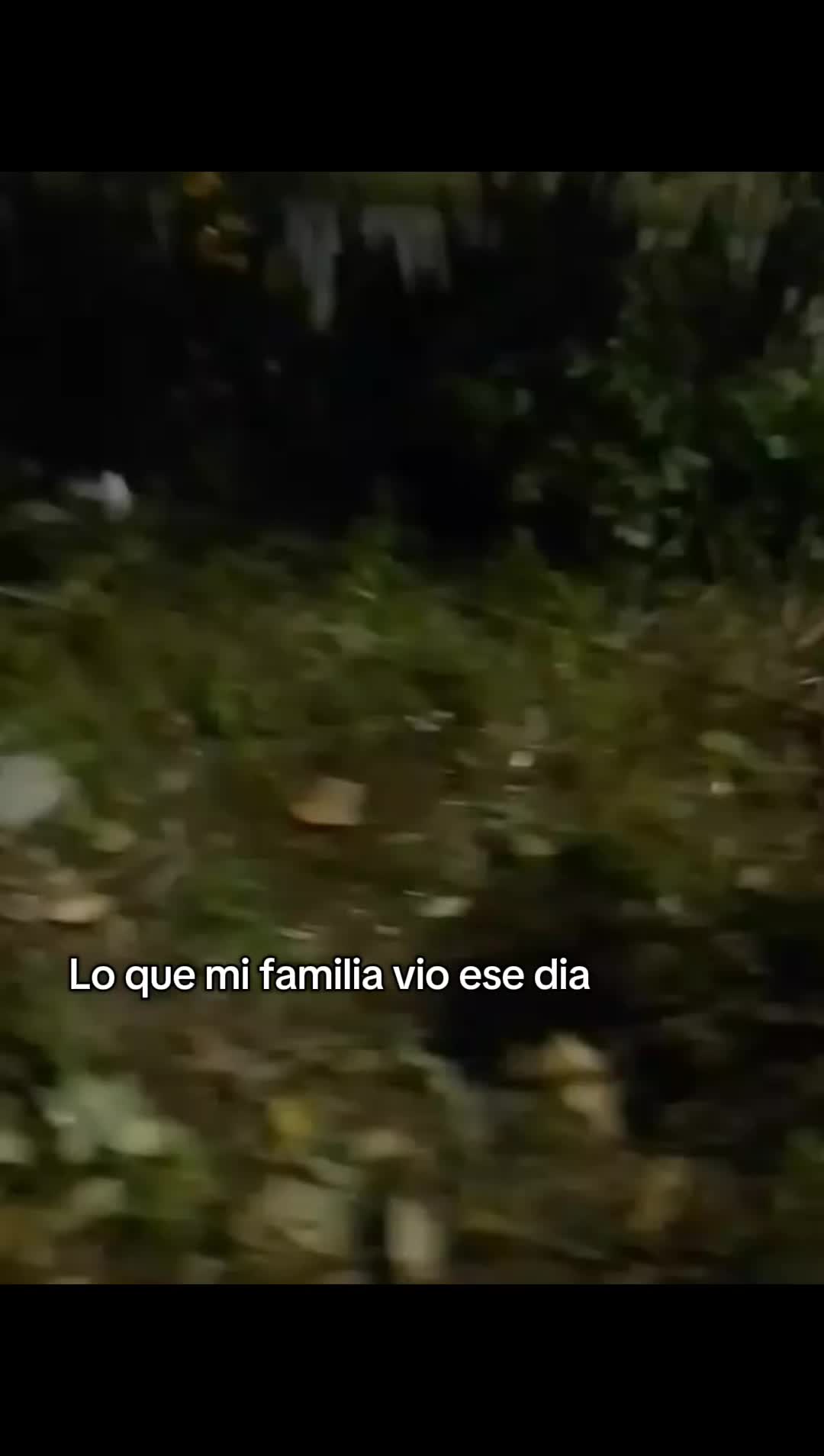 @Luisaaa