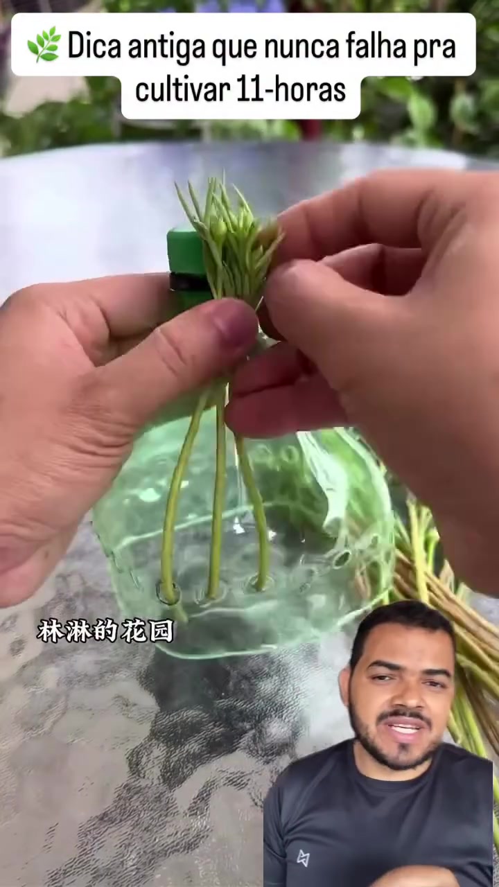 @Obrasilense